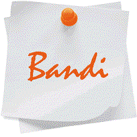 bando LM85bis